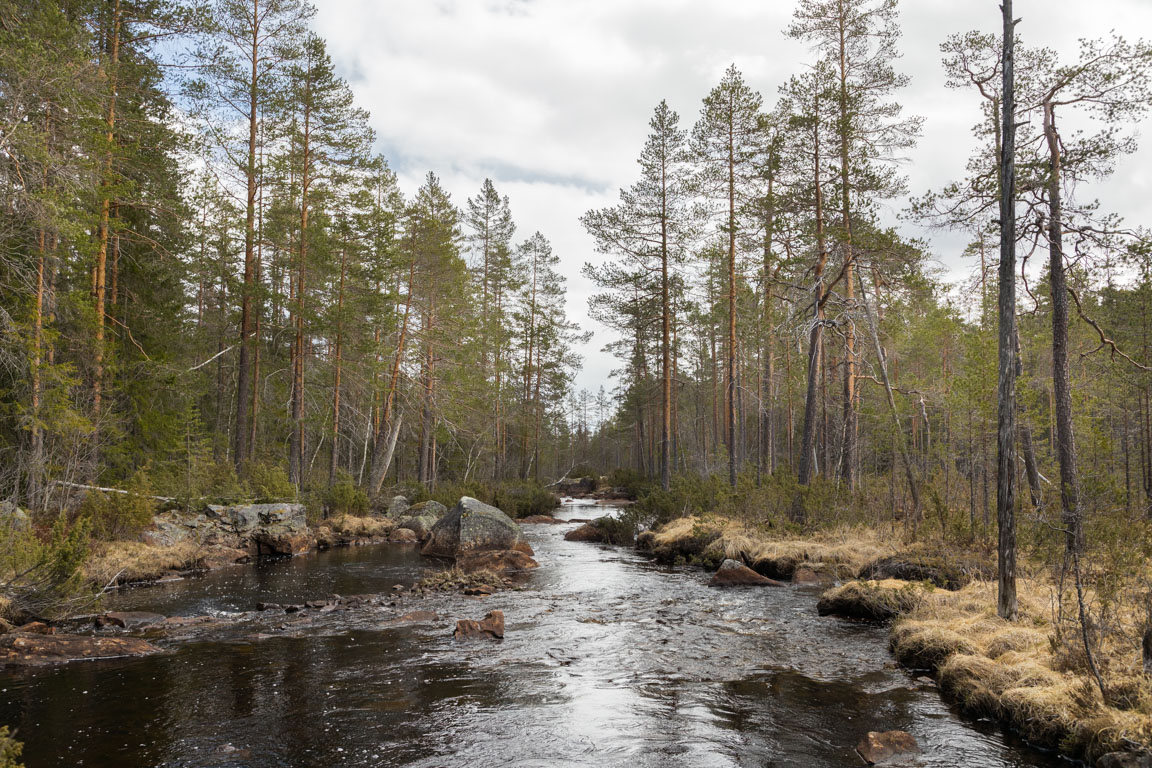 Fiskeförbud råder