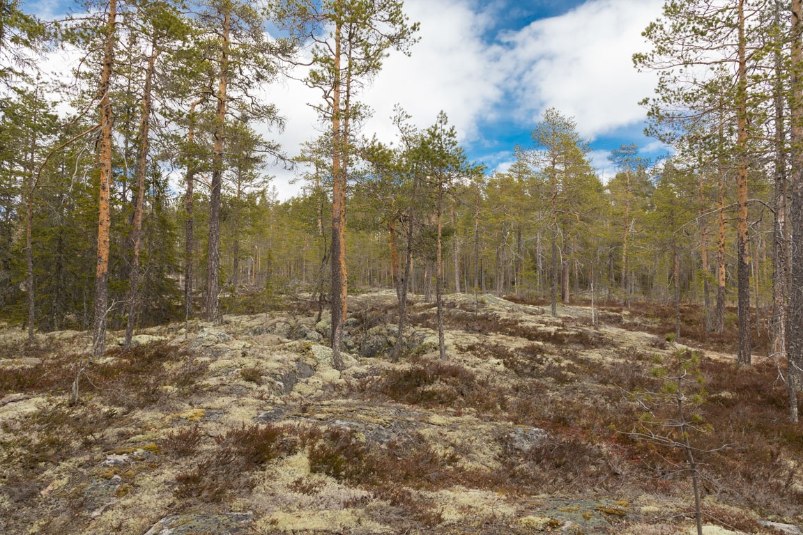 Härliga hällmarker