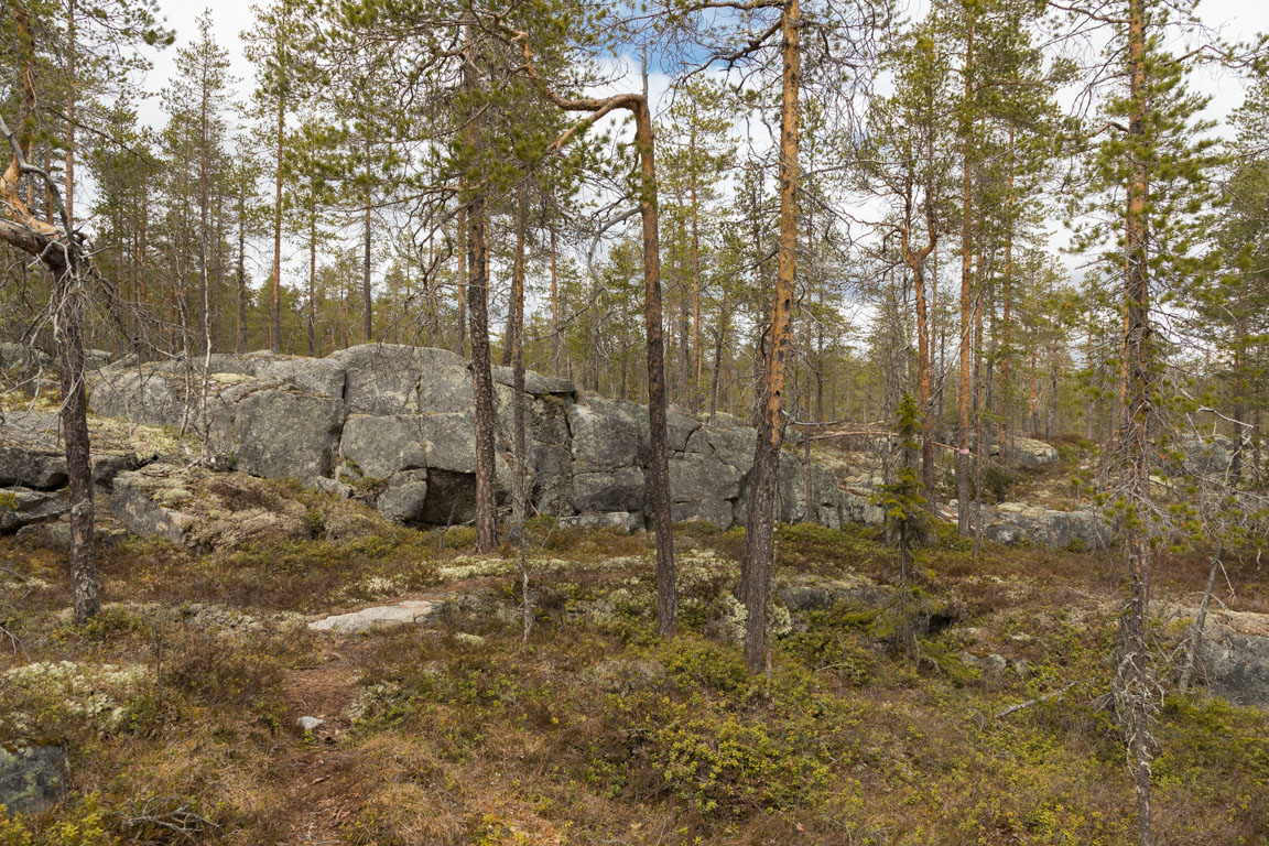 Stenigt och knotiga tallar