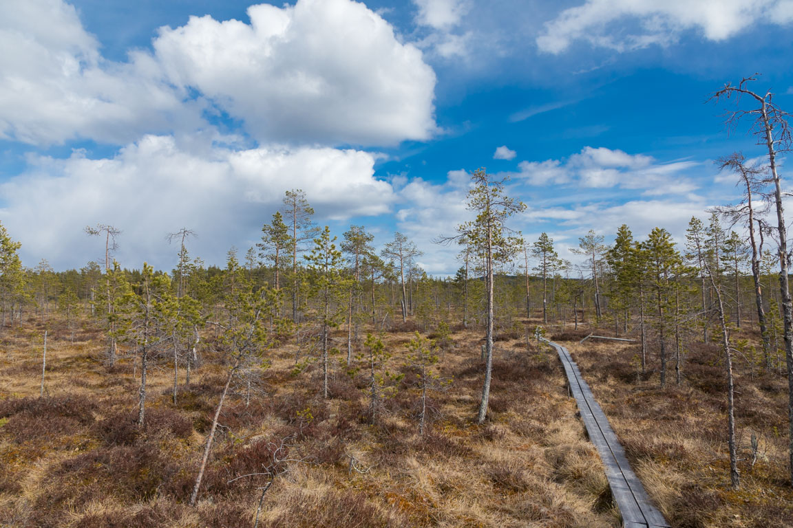 Härligt med spänger