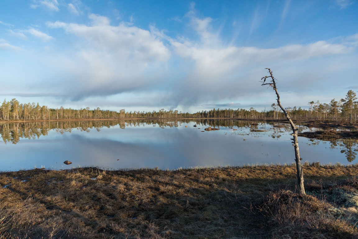 Vindstilla morgon