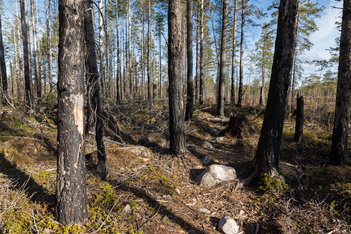 Brandområdet