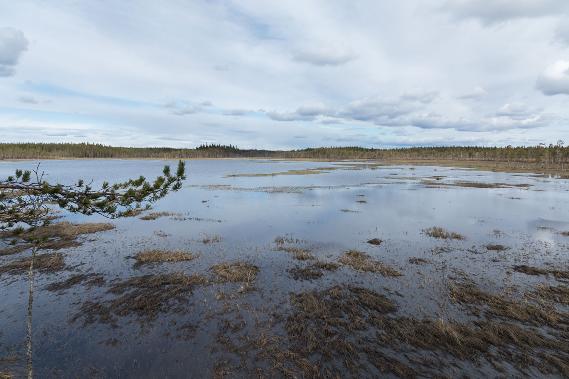 Svansjön