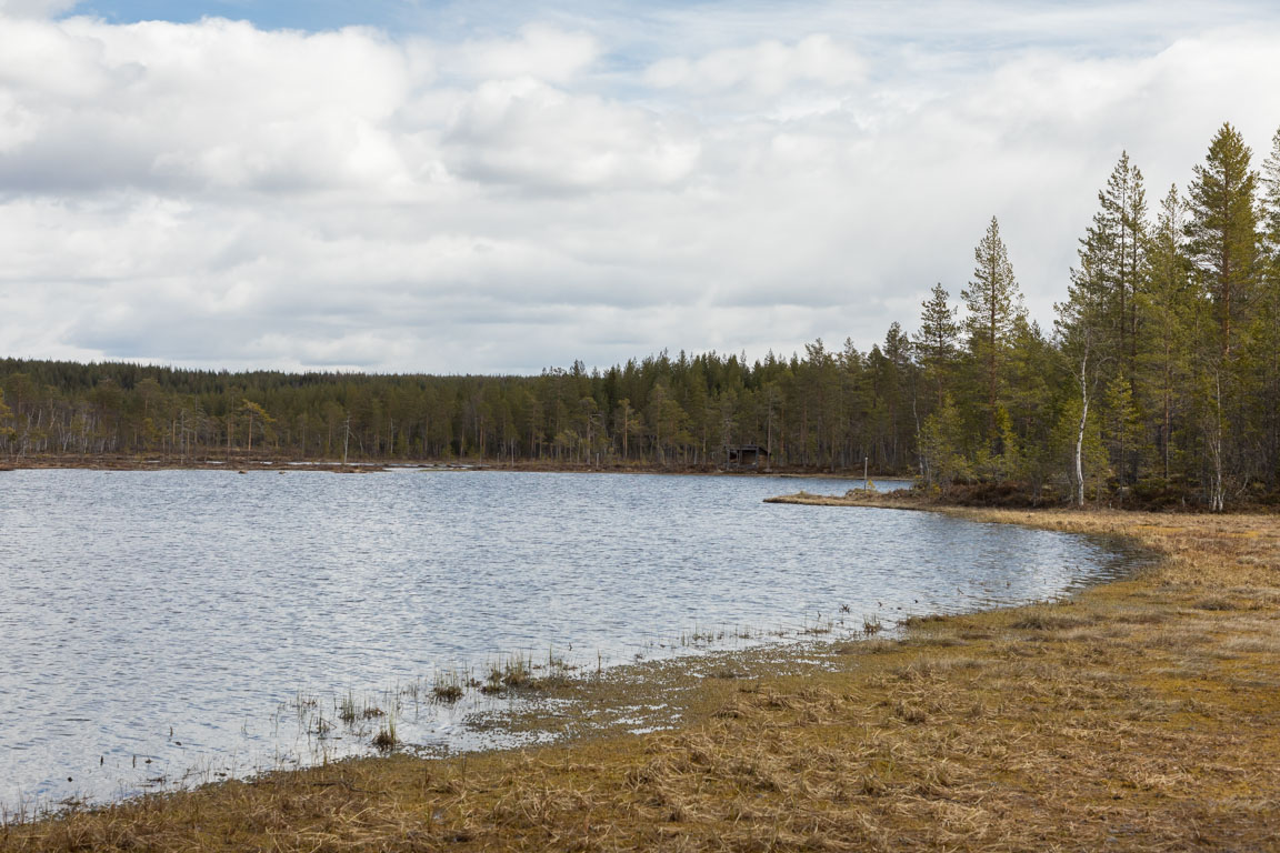 Vindskydd på håll