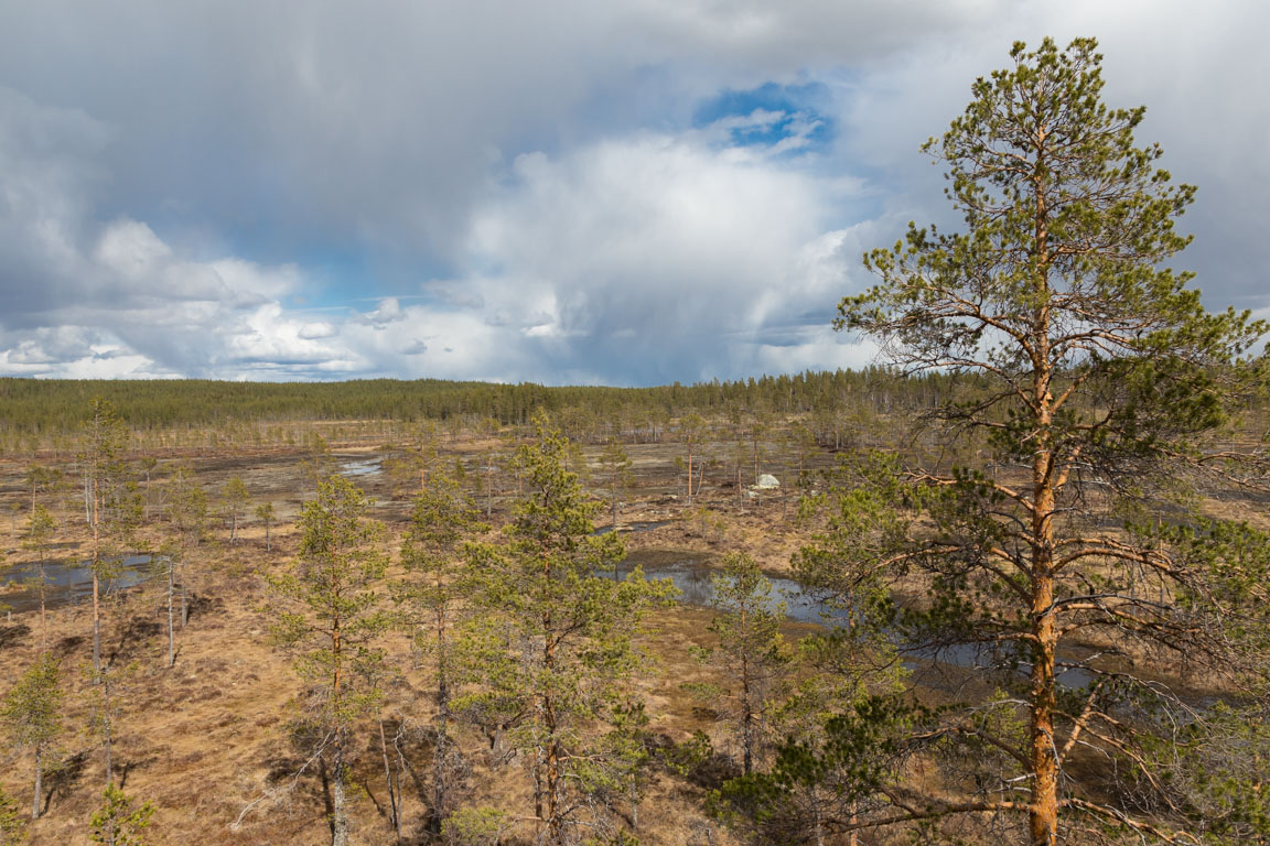 Uppifrån tornet