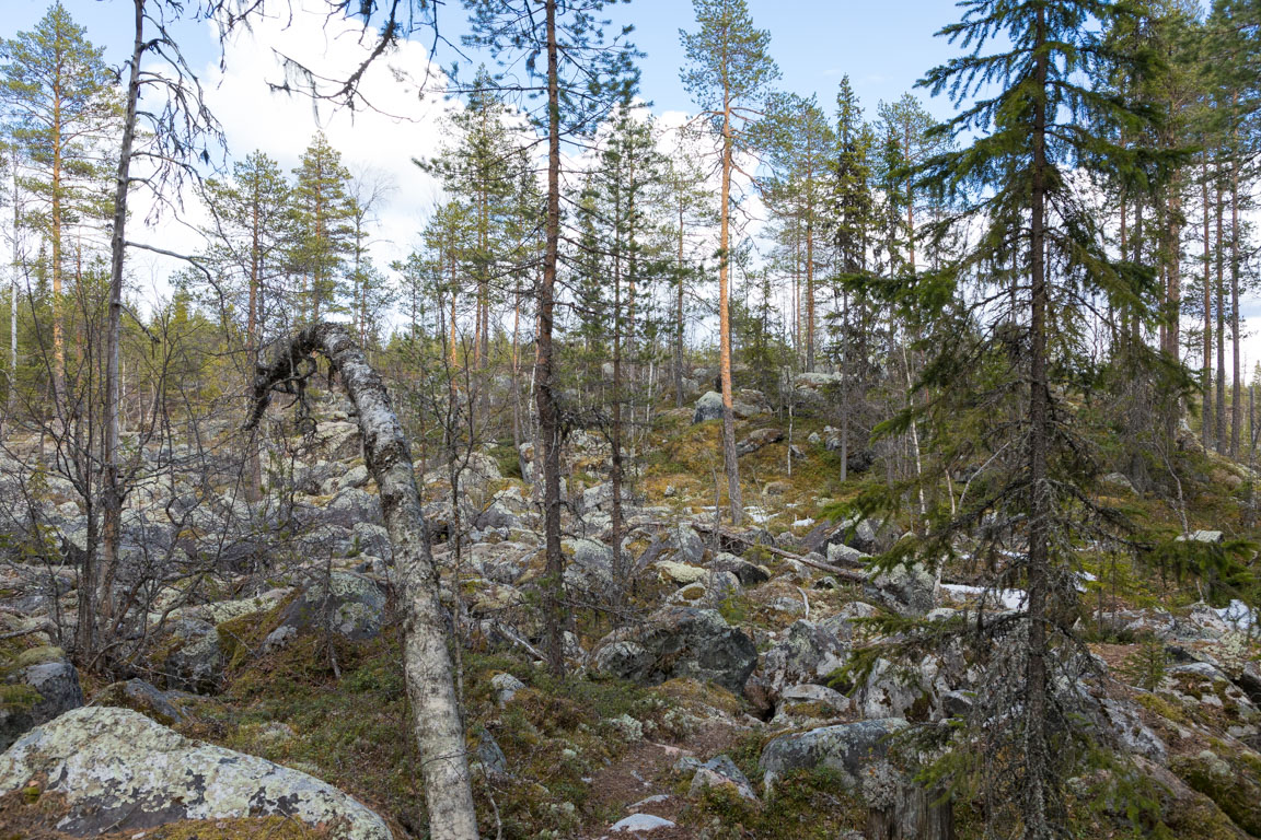 Tältplatsletning vid ån