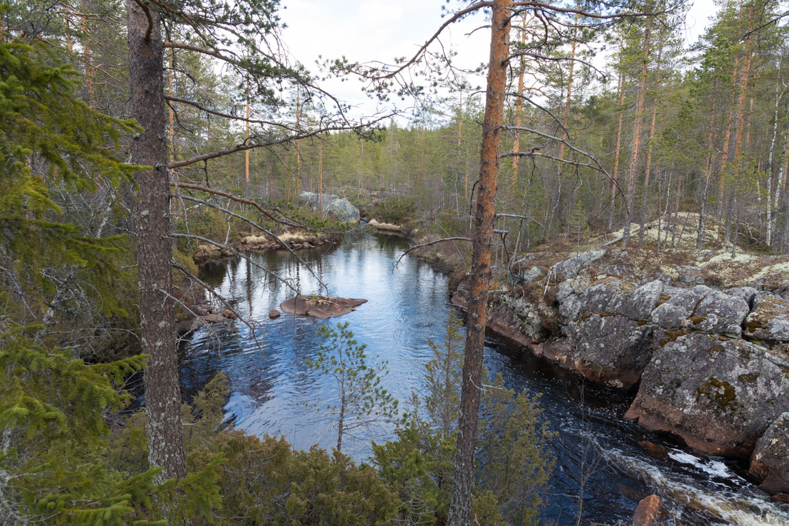 Fin hölja för öring