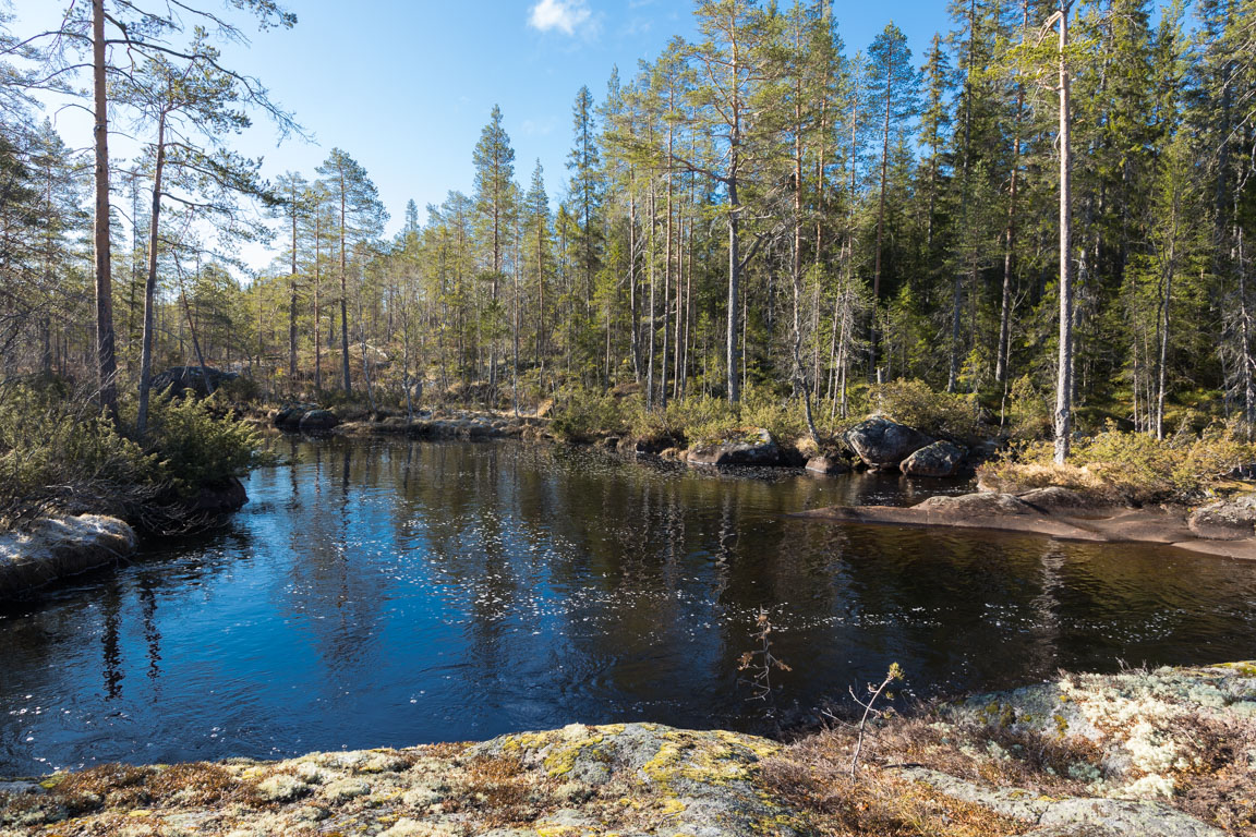 Härlig pool