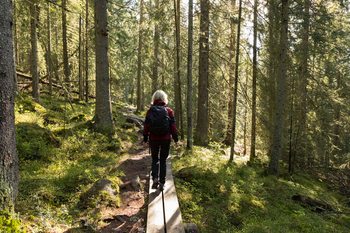 Skuleskogen