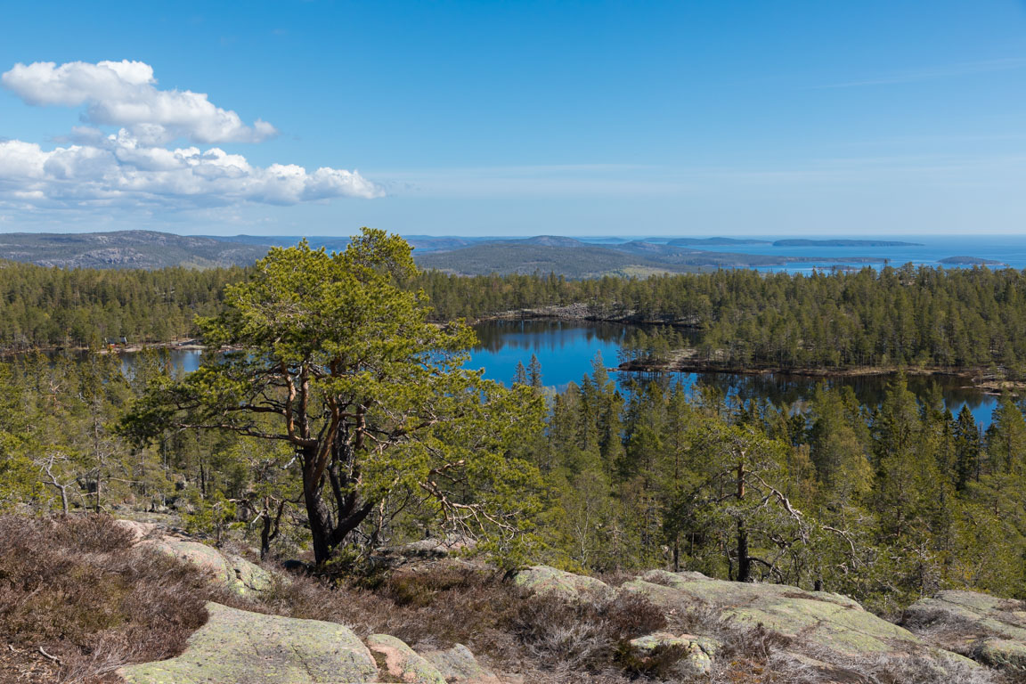 Tärnättvattnen