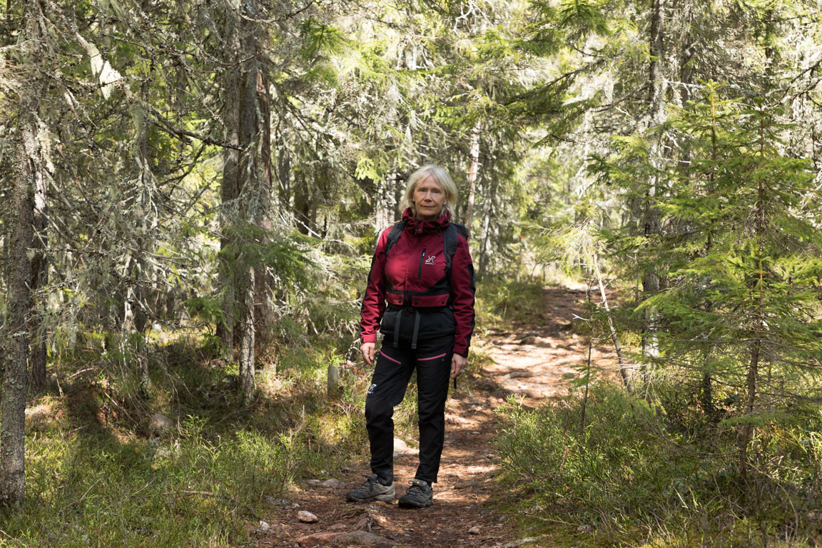 I skogslandet igen