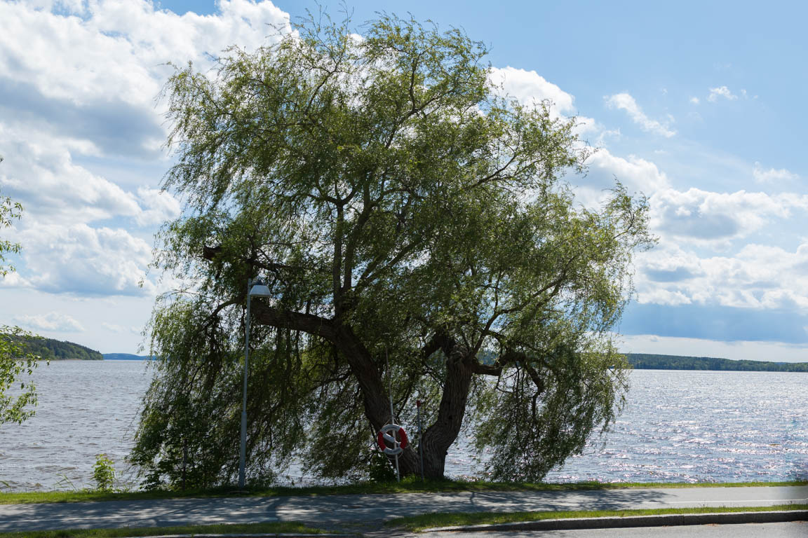 Vy mot Mälaren