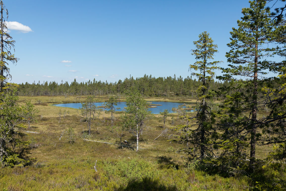 Fjortasjön