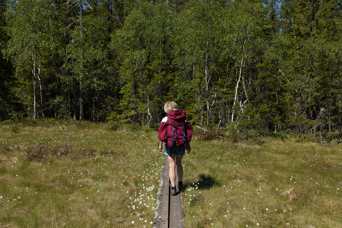 På spången