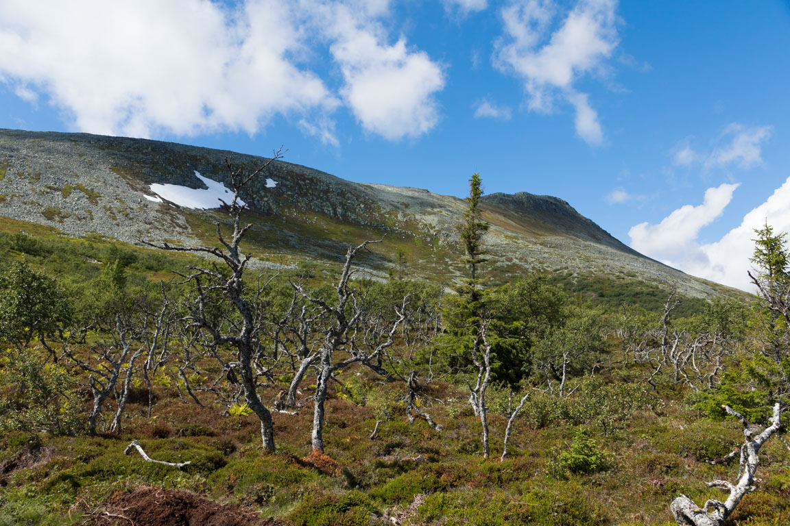 Sonfjällets östra sida