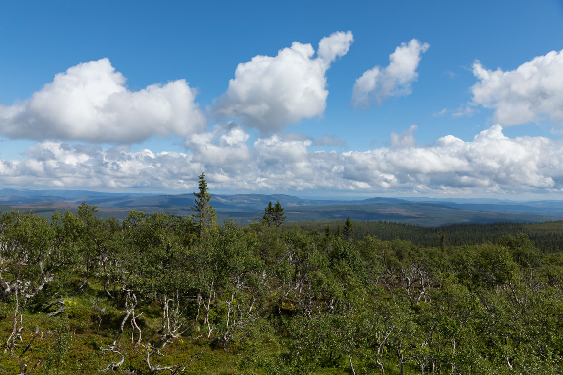 Vy mot öster (Vemhån)