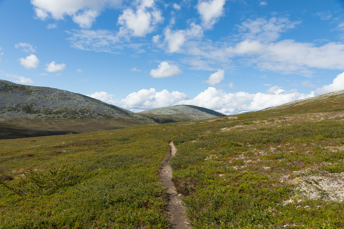 Stigen ringlar sig vidare mot Gråsidan och Valmfjället