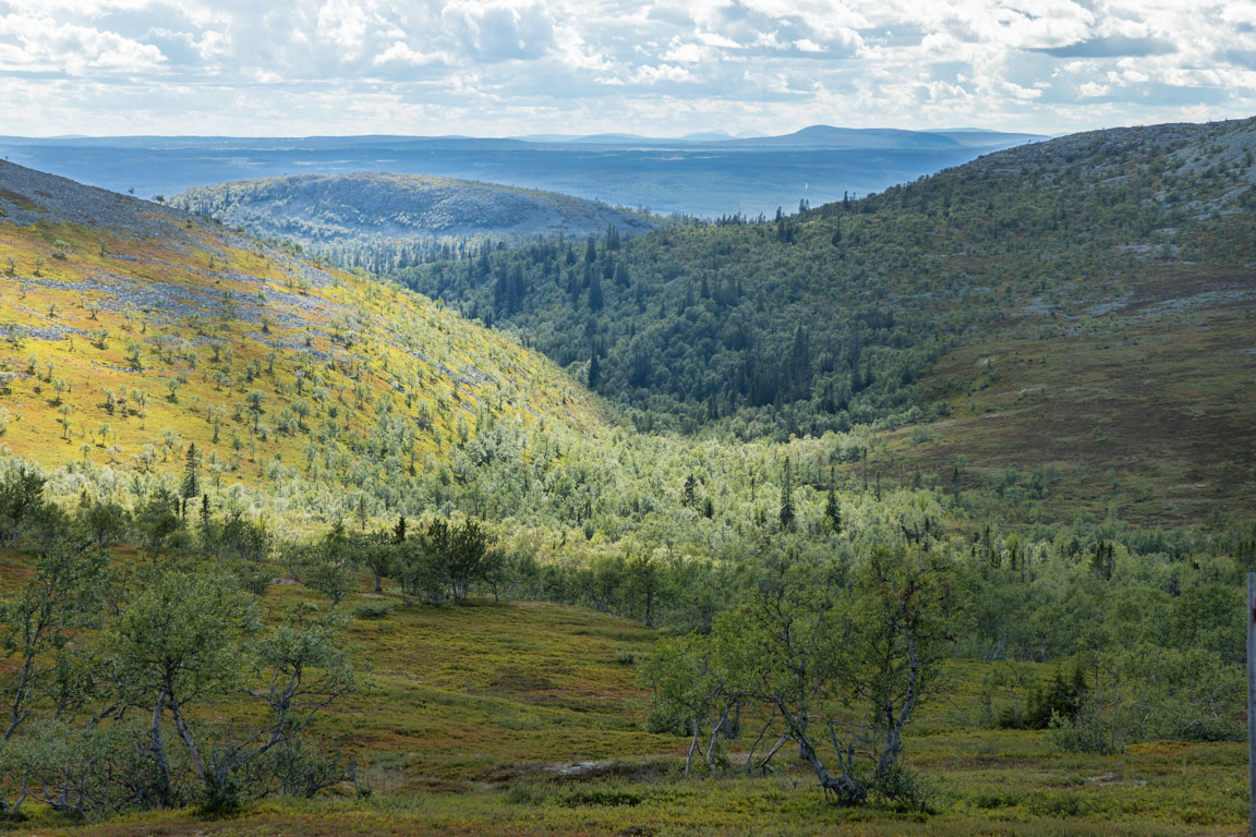 Närbild av Sododalen