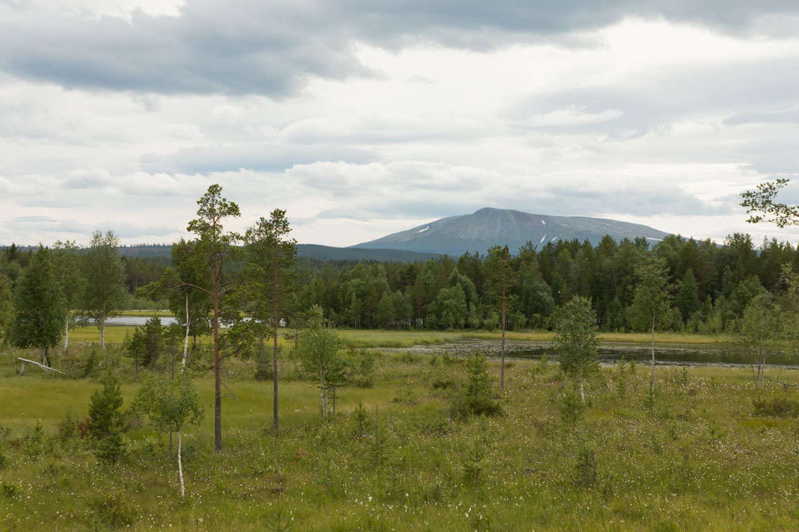 Sonfjället sett norrifrån