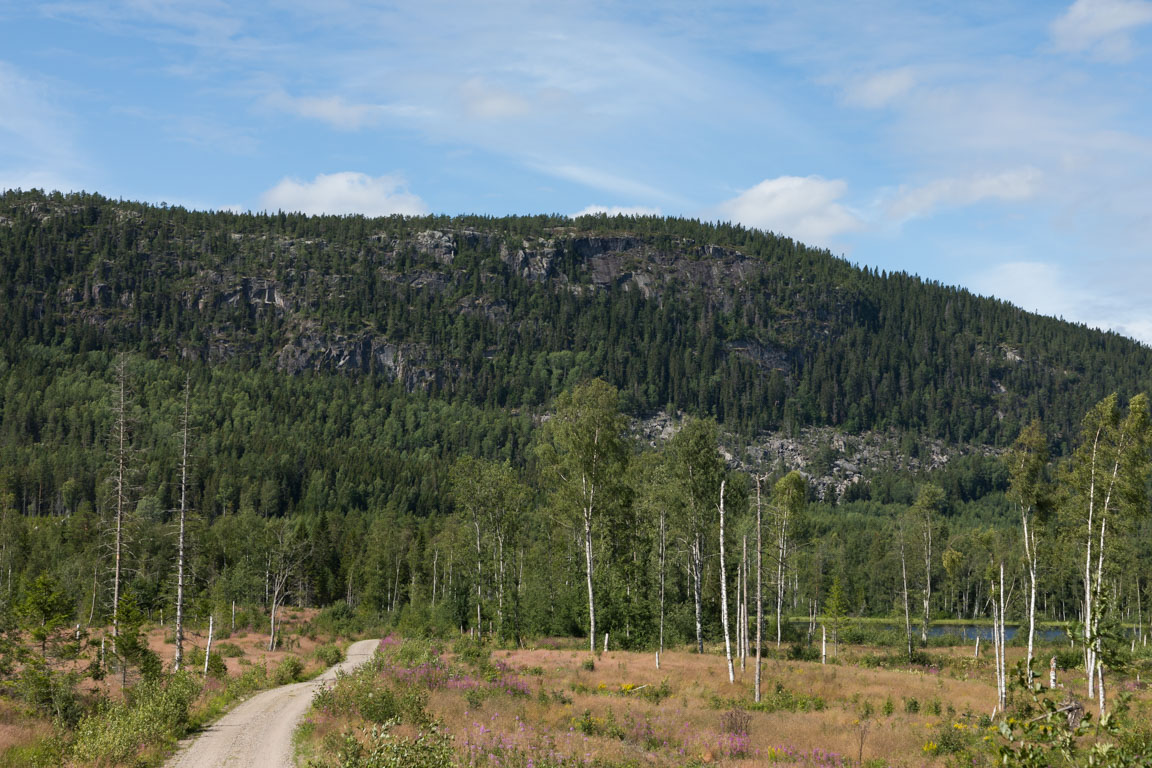 Berget nedifrån