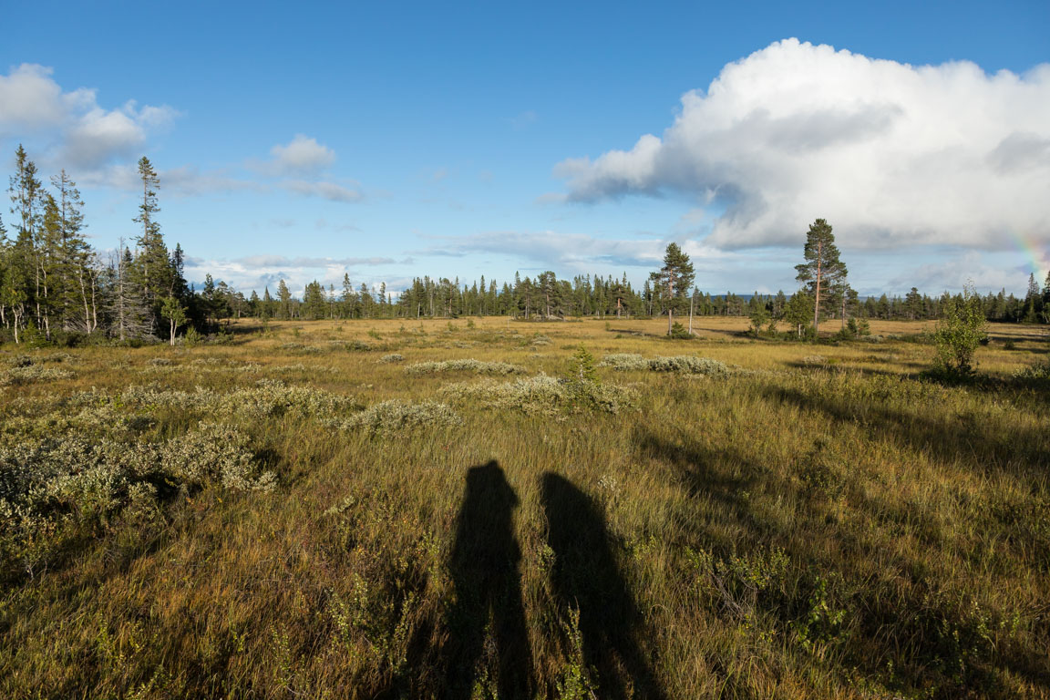 Öppna landskap