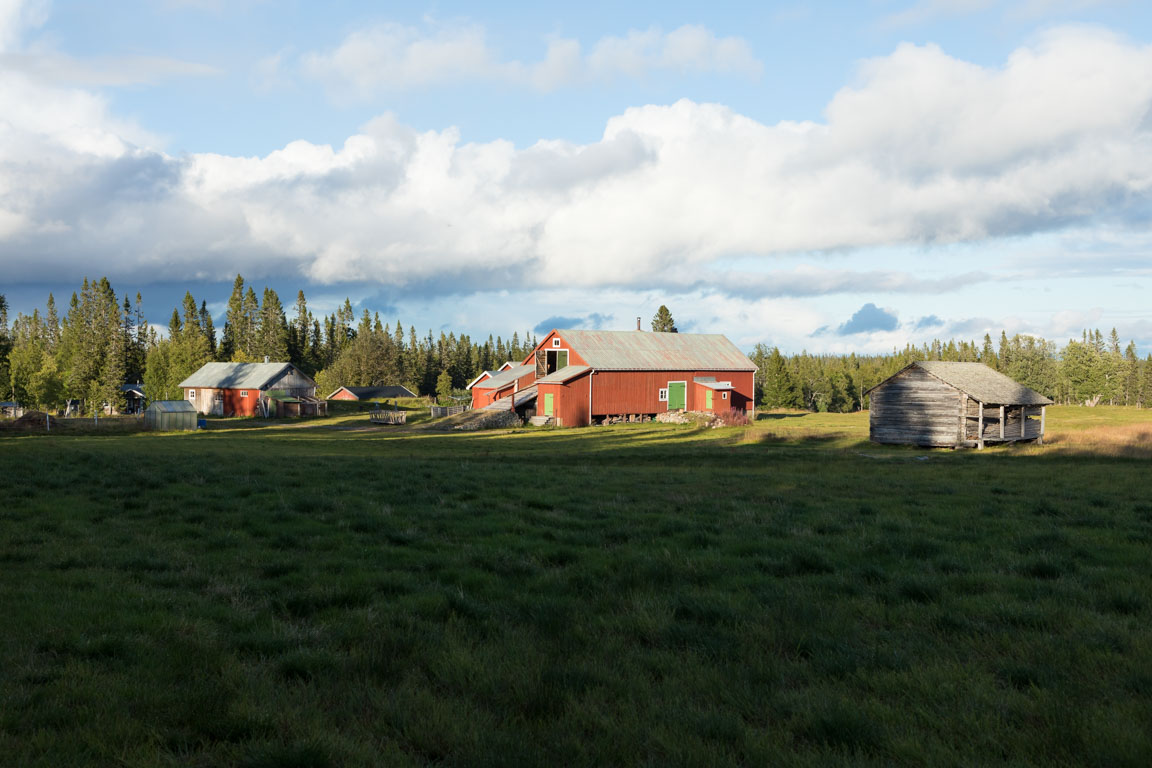 Framme vid gården