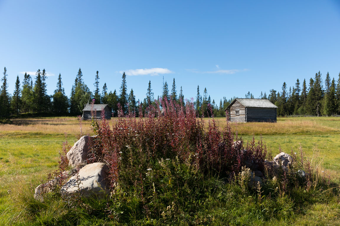 Lill-ladan och Lövhögsladan