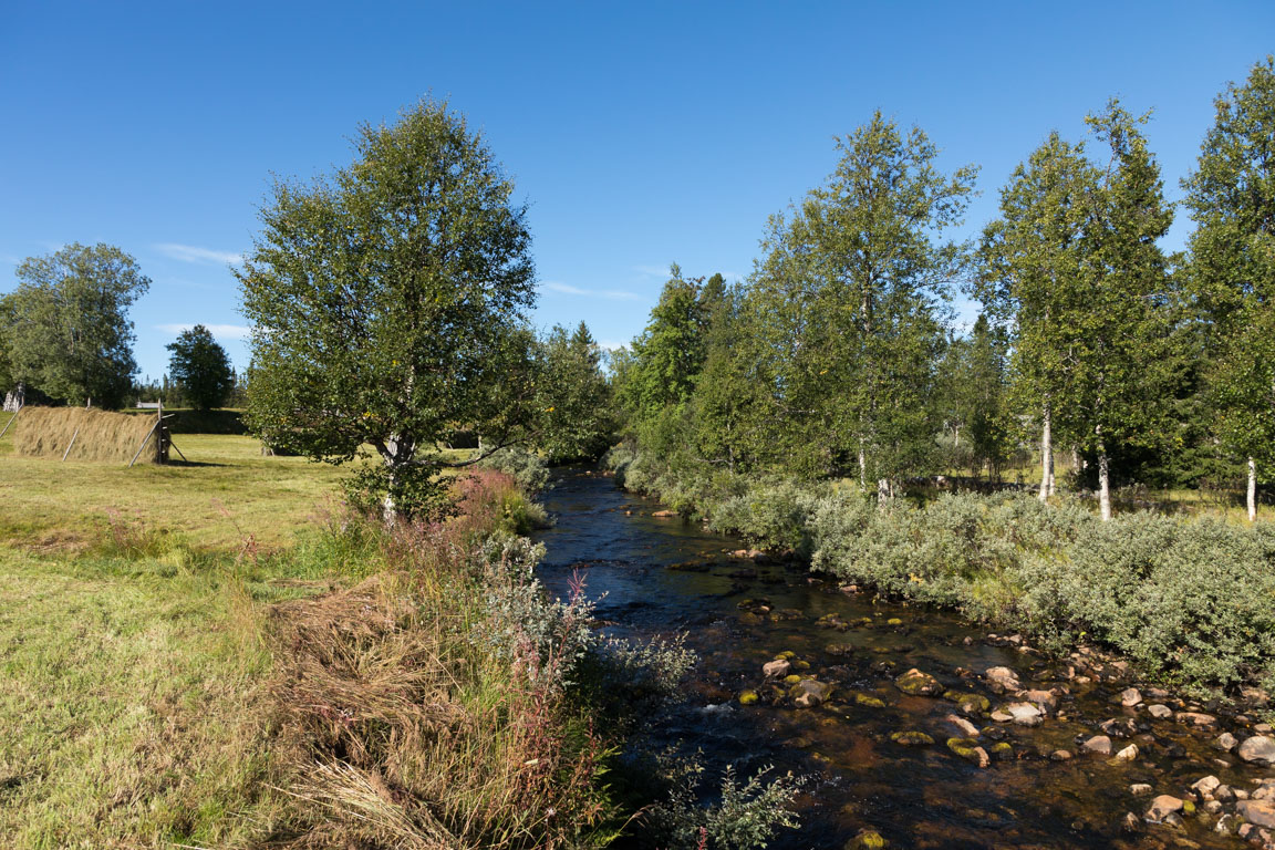 Lillhärjeån skär genom gården