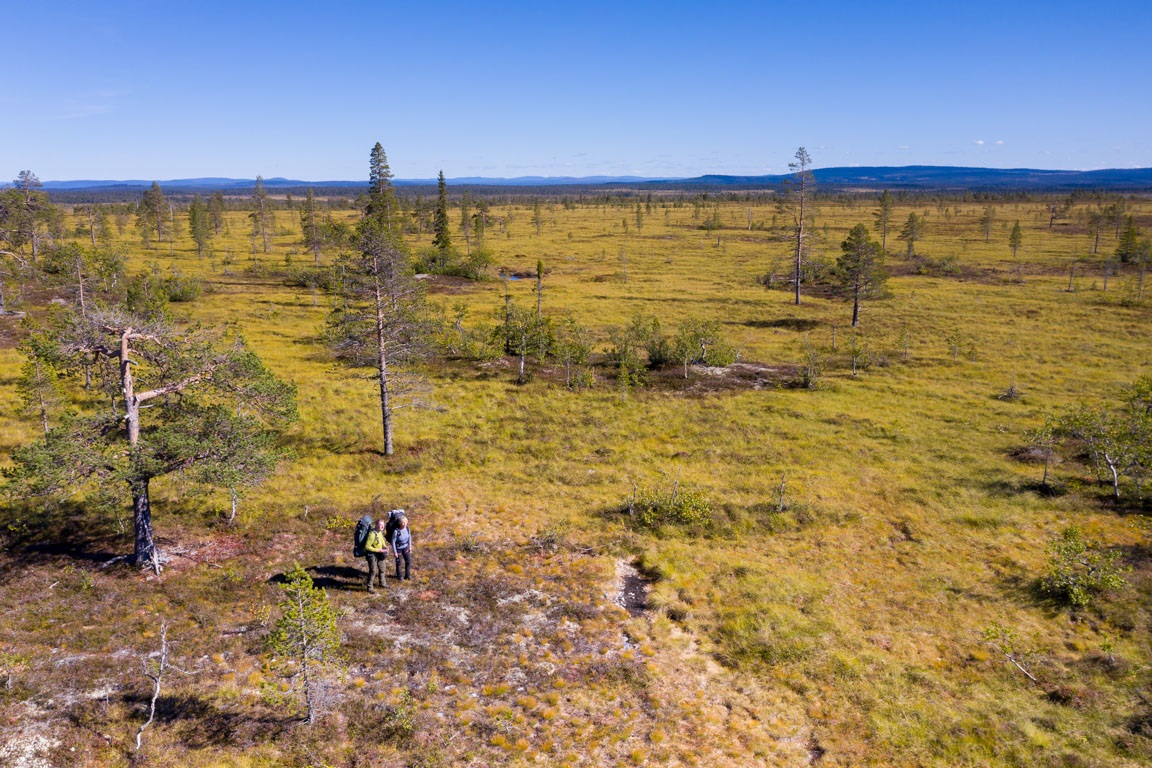 Härliga vidder