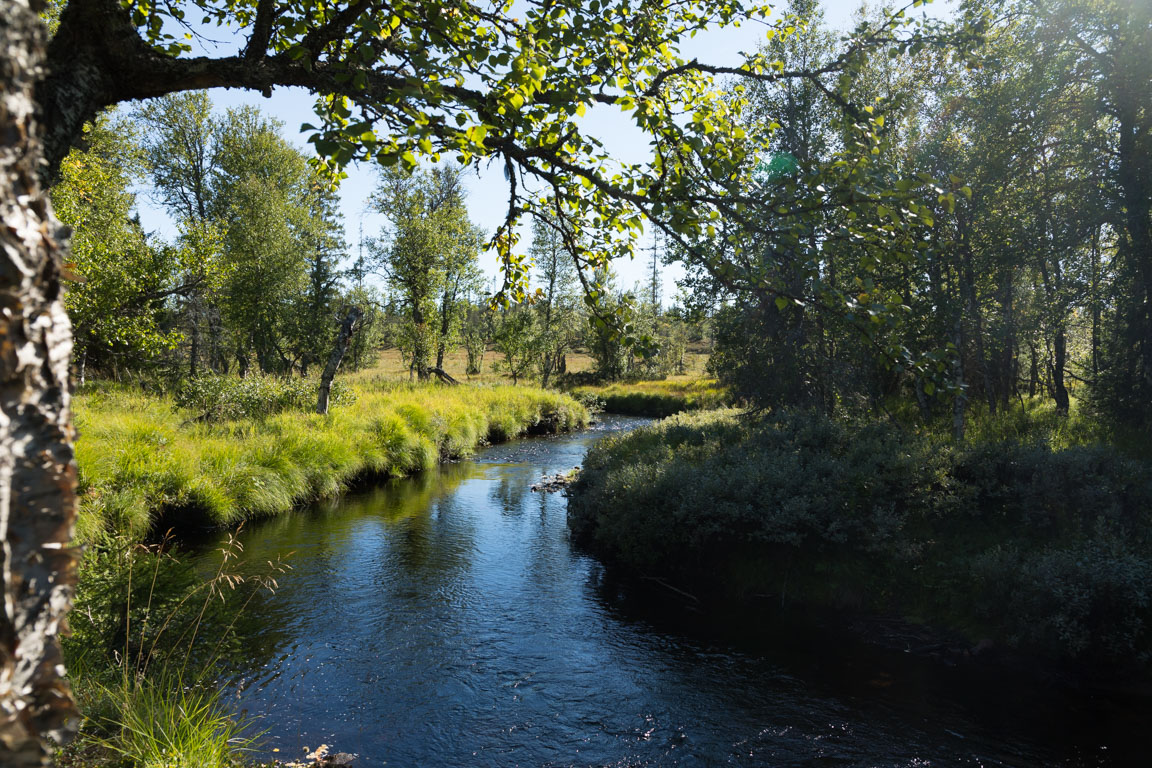 Lillhärjeån utanför stugan