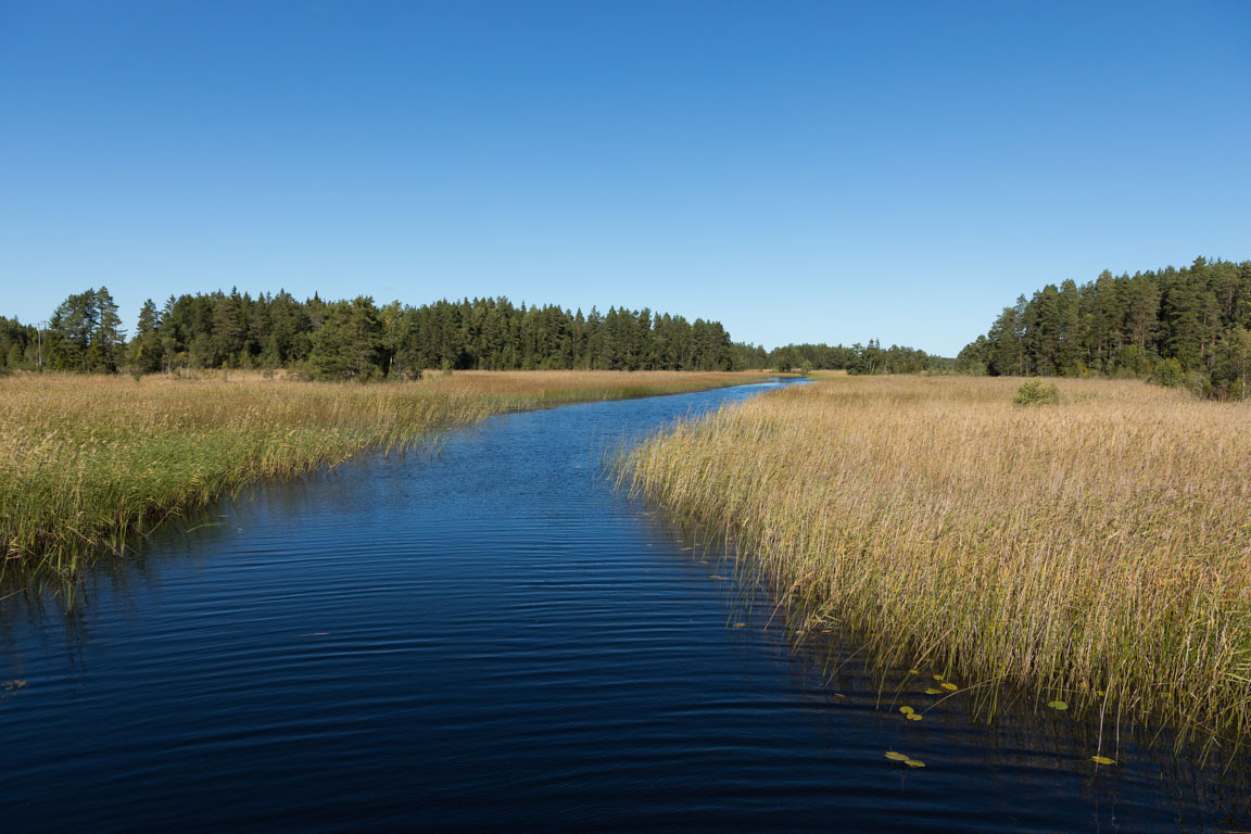 Älven