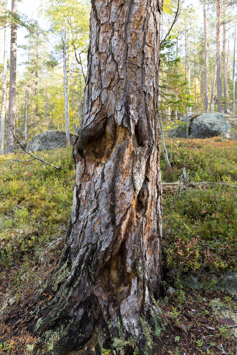 Tall med brandljud