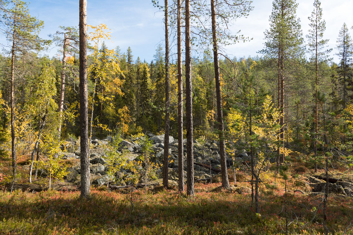 Lämning efter inlandsisen