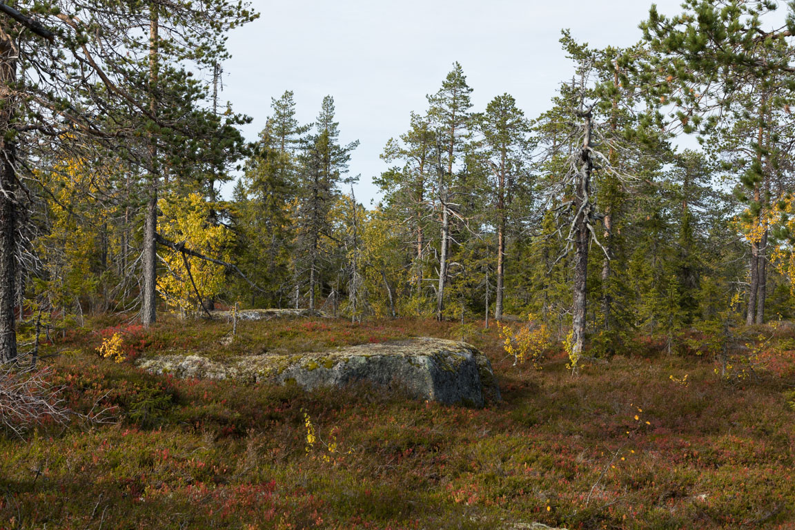 Möjlig tältplats