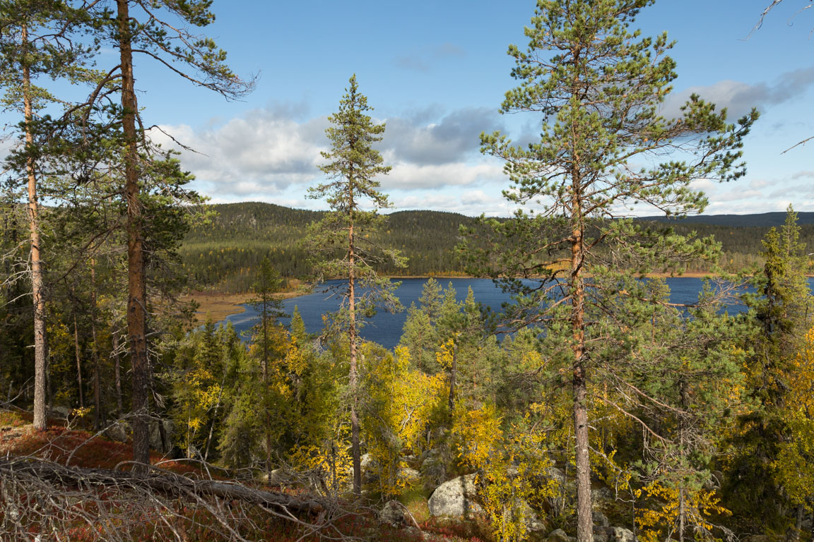 Angsjön på håll