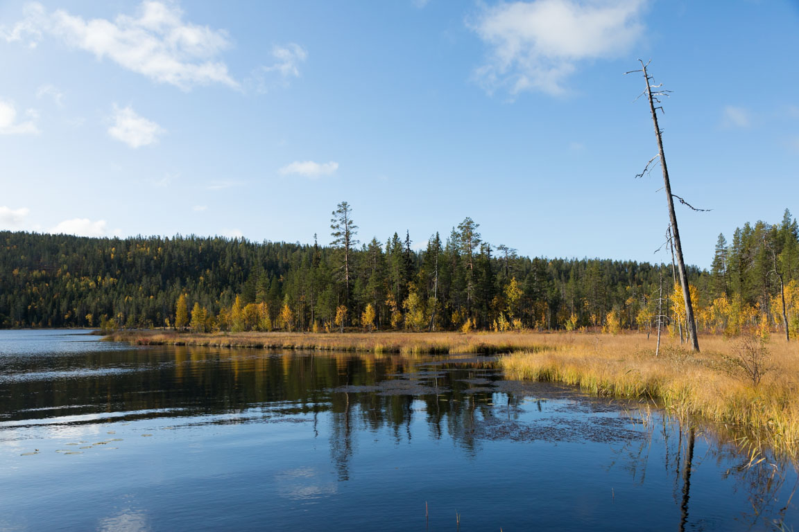 Angsjön