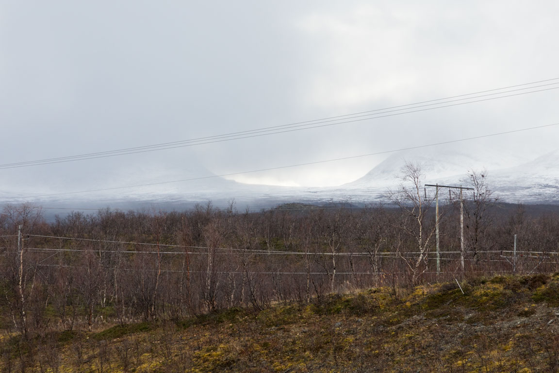 Lapporten från vägen