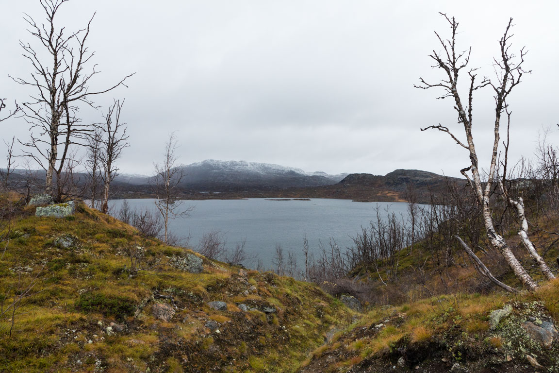 Sjön Vassijaure