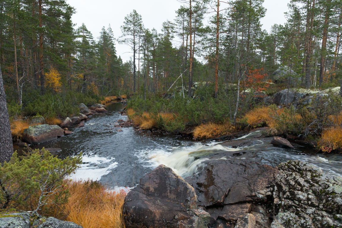 Fallhöjd