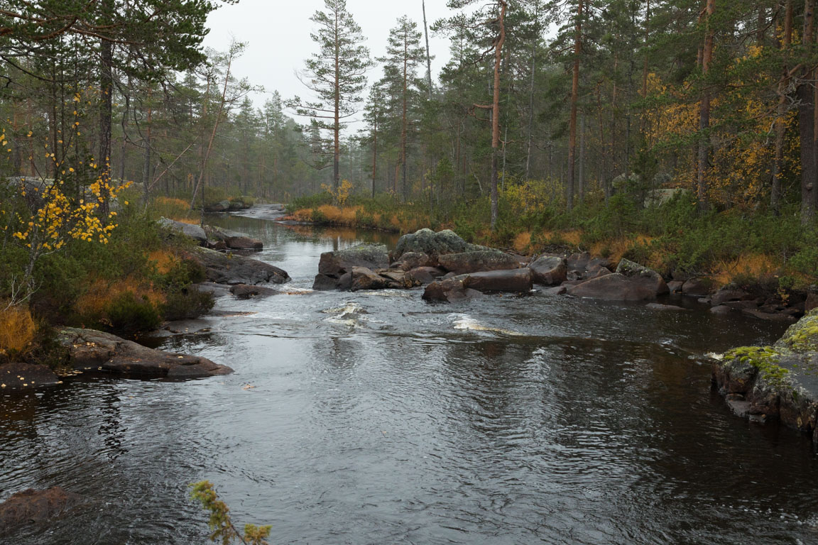 Ej flottad å