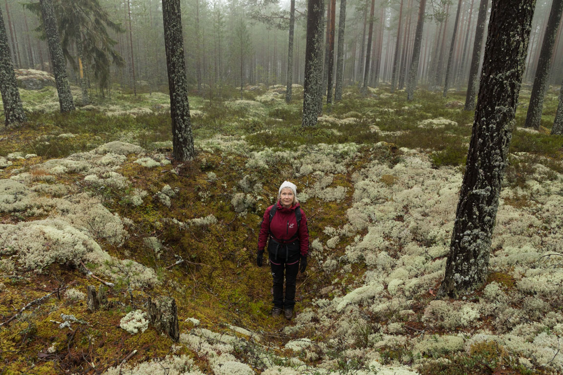 Fångstgrop