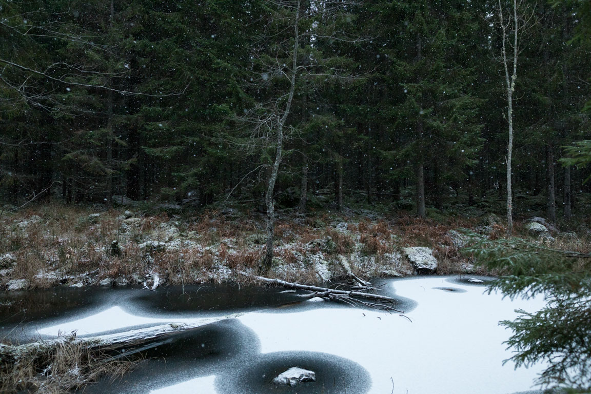 Snötäcke