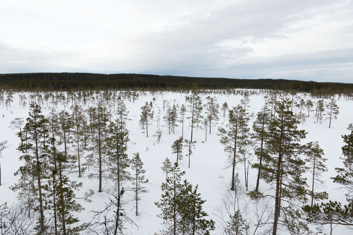 Från utkikstornet