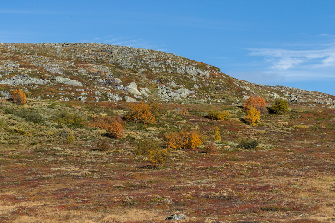 Vackra färger