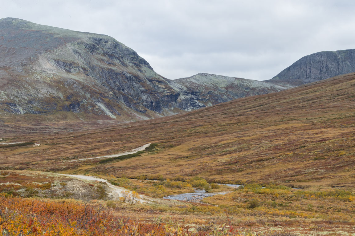 Fortfarande vackert i landskapet...