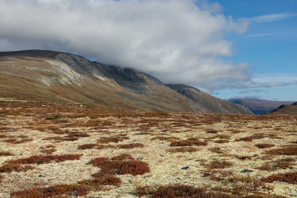 Månlandskap