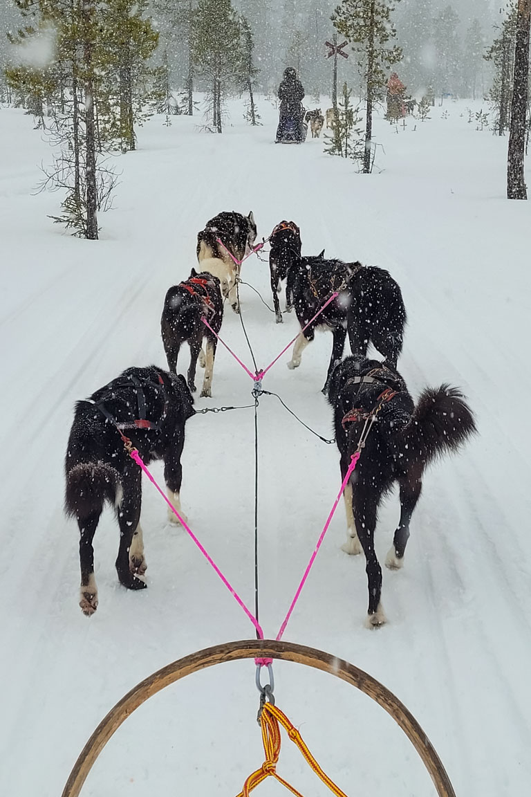 Snömys