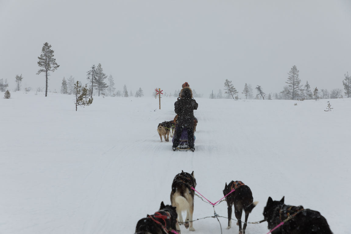 Mer snö